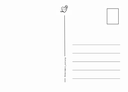 Postcard BACK Standard (WHITE).webp
