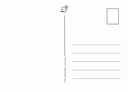 Postcard BACK Standard (WHITE).webp